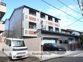 MESA VERDE 紫竹の画像