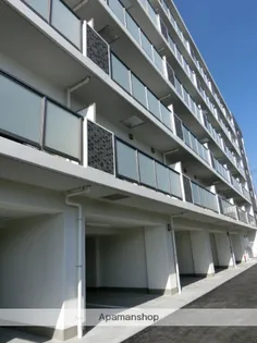 エクセル服部の画像