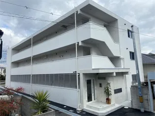 ヴァーダントMの画像