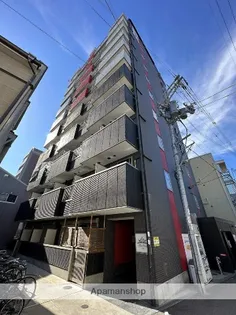 ティアライーストの画像