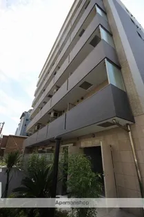 ノーサイド立葉の画像