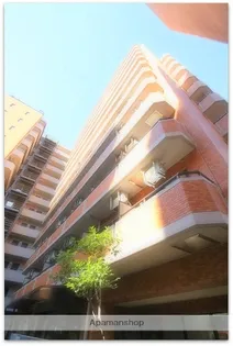 大阪府大阪市中央区高津2丁目【マンション】の外観