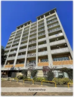 ブランコートの画像