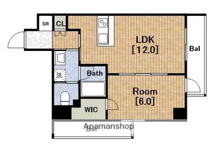 プレディアコート本町【8階】の間取り