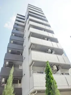 PAUSEドーム前の画像