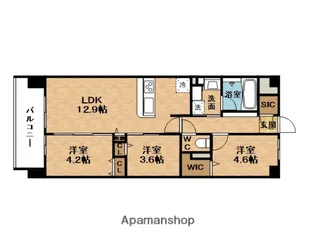 スプランディッドXI【7階】の間取り
