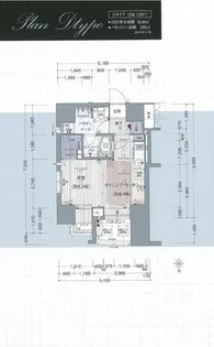 プレサンスNEO中之島公園【1004号室】の間取り
