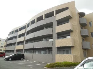 エバーグレイスの画像