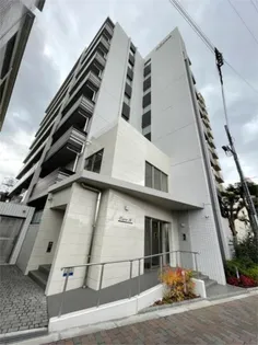 ダイレ エヌの画像