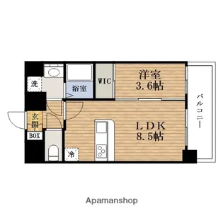 大阪府大阪市西区本田3丁目【マンション】の間取り