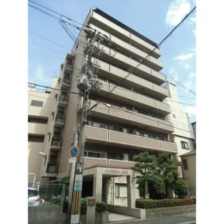 GATHERIA PACEの画像