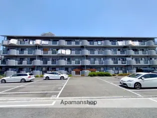 アンセスター91の画像