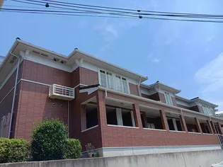 プリムローズT K Aの画像