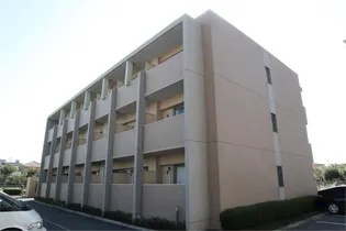 ファシルカワトの画像