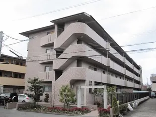 ウィステリアの画像