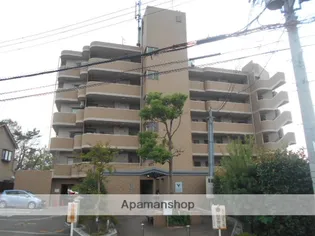 カサベルデ中百舌鳥の画像