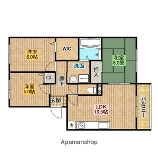 センチュリーコート(出島町)【105号室】の間取り