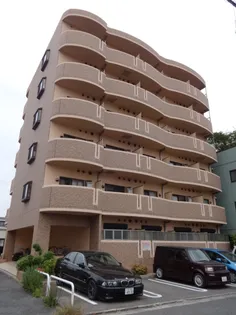 エテルノソーレの画像