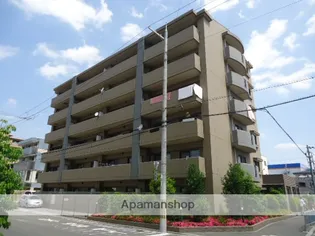 エンジェルズ アイの画像