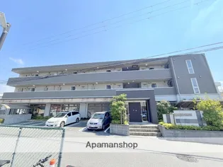 シャバーニの画像