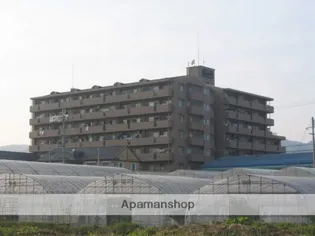 シャルマンフジ岩出参番館の画像