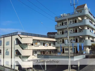 ブエナビスタ紀の川Ⅱの画像