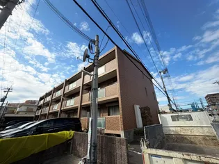 アムールカセイの画像