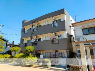 ネオサンフラワーの画像