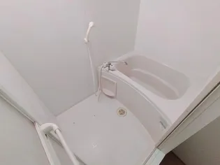 レオパレス教興寺【1階】の風呂