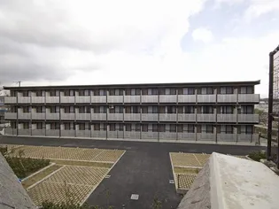 サルースの画像