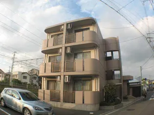 シンコ コスモスの画像