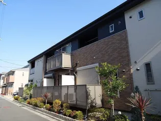 ハイバレーミドルの画像