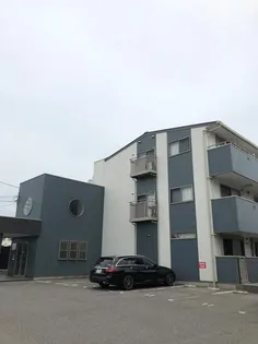 レクエルド藤の画像