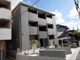 カメリアYIIIの画像