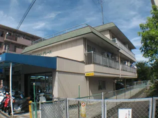 マンショングレースの画像