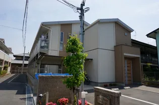 ニューアムールクラニアの画像
