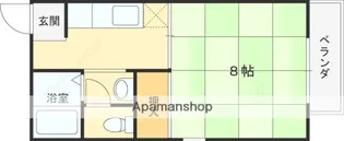 樽井ハイツ【203号室】の間取り