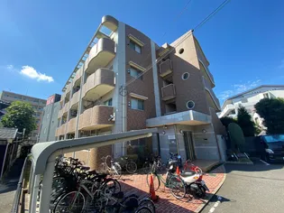 アプリコット こさかの画像