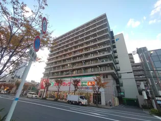 大阪府東大阪市長堂1丁目【マンション】の外観