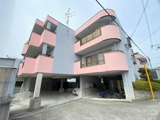 ファインバードの画像