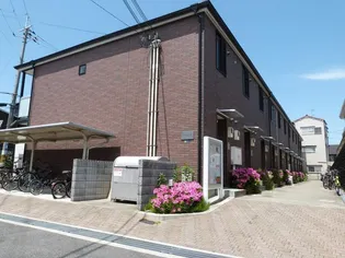 リヴェールの画像