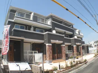 ストレリチア オーガスタの画像