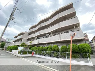 シロハイヌ小阪の画像