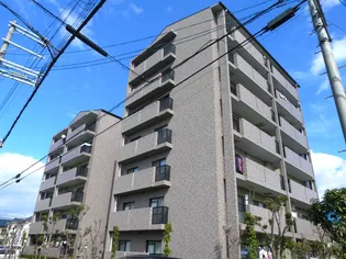 エオリアンハープの画像