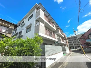 江上イエムの画像