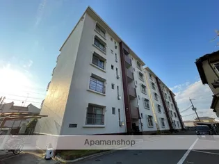 ニュー志紀ハイツの画像