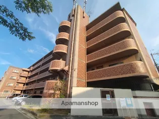 ヴェルドミール山本の画像