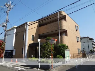 エルフローラの画像