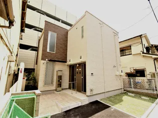 クレイノジニアの画像