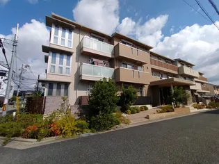 オリーヴの画像